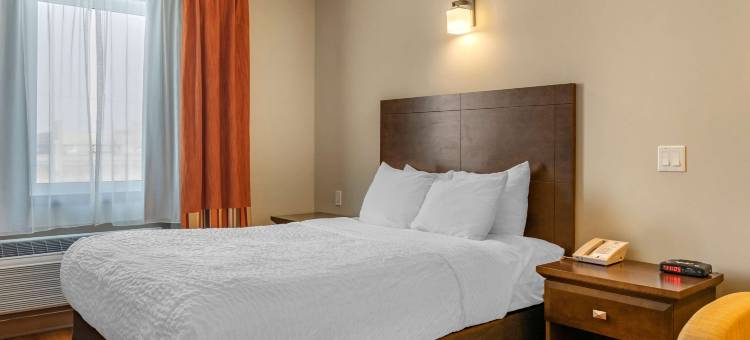 凯艺套房酒店(Quality Inn & Suites)图片