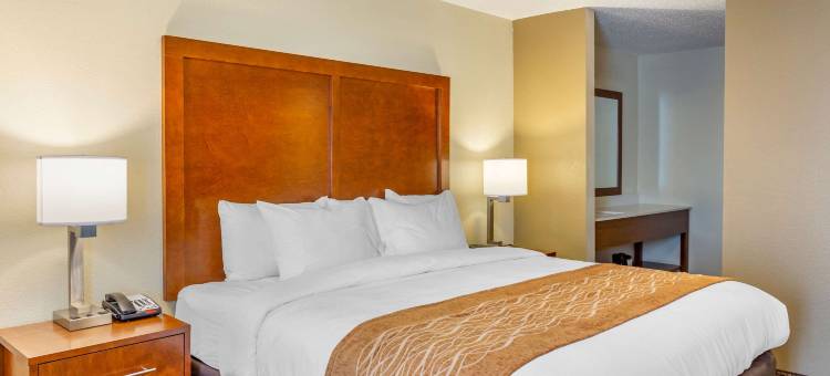 迪卡尔布舒适酒店-毗邻大学(Comfort Inn DeKalb - Adjacent the University)图片