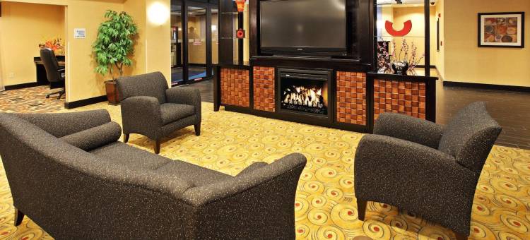智选假日套房酒店特克萨卡纳东(Holiday Inn Express & Suites Texarkana East)图片