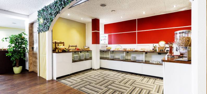 金茨堡城市酒店(Günzburg City)图片