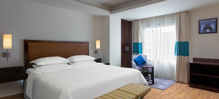 瓦多达拉福朋喜来登酒店(Four Points by Sheraton Vadodara)图片