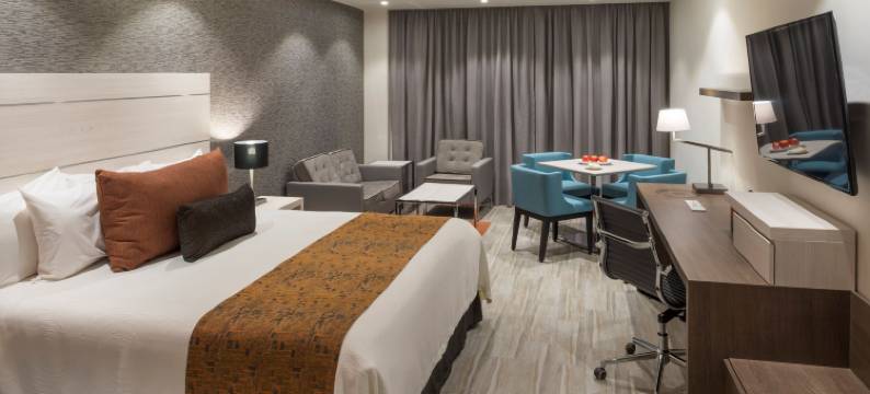 塞拉亚里尔旅馆(Real Inn Celaya)图片