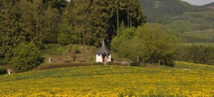 武勒尼尔兰德酒店(Wüllner's Landgasthof)图片