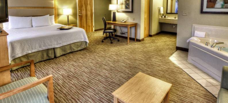 卡拉马祖奥施蒂莫欢朋酒店及套房(Hampton Inn & Suites Kalamazoo/Oshtemo)图片