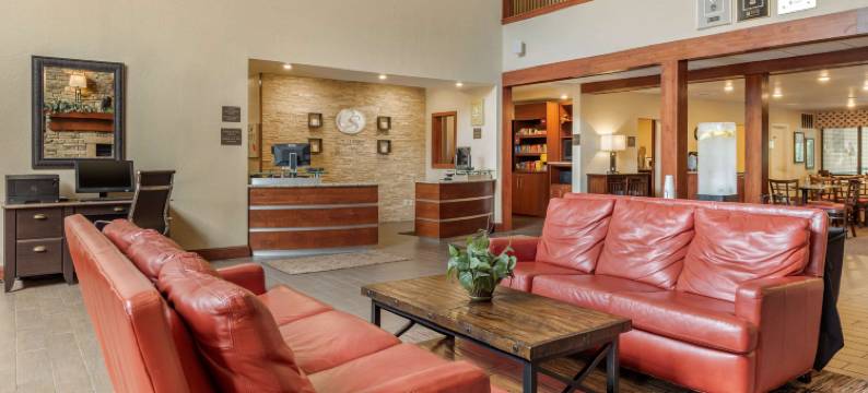 66 号公路附近舒适全套房酒店(Comfort Suites Near Route 66)图片