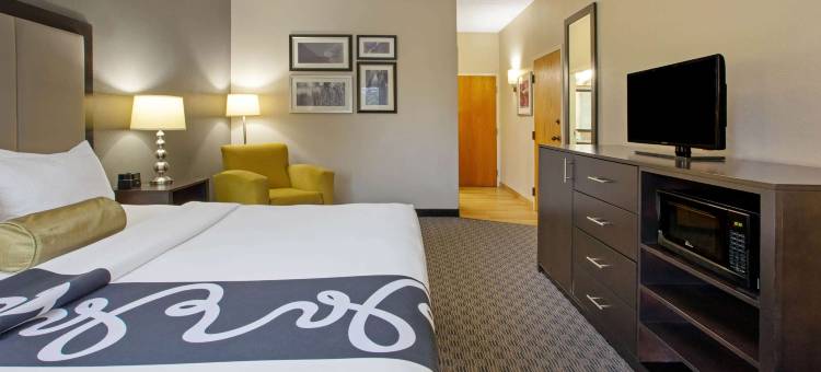 底特律都会机场拉昆塔温德姆套房酒店(La Quinta Inn & Suites by Wyndham Detroit Metro Airport)图片