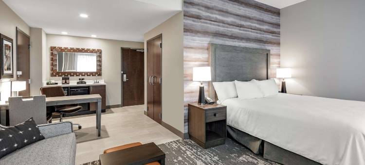 琼斯伯勒红太狼希尔顿大使套房酒店及会议中心(Embassy Suites Jonesboro Red Wolf Convention Center)图片