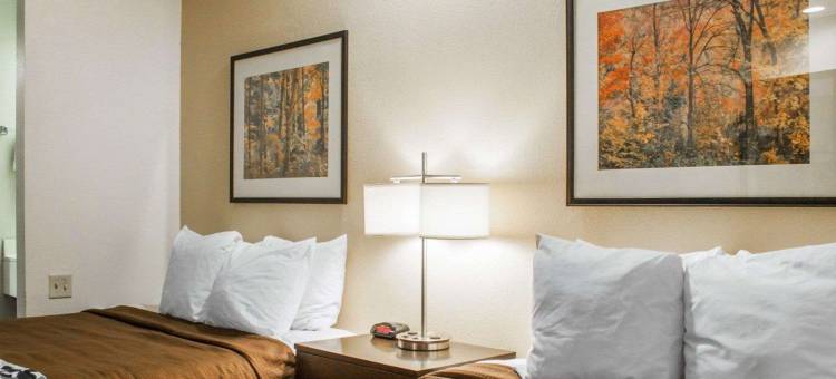 机场罗德威酒店(Rodeway Inn Airport)图片