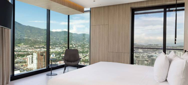 圣何塞拉萨瓦纳希尔顿酒店(Hilton San Jose la Sabana)图片