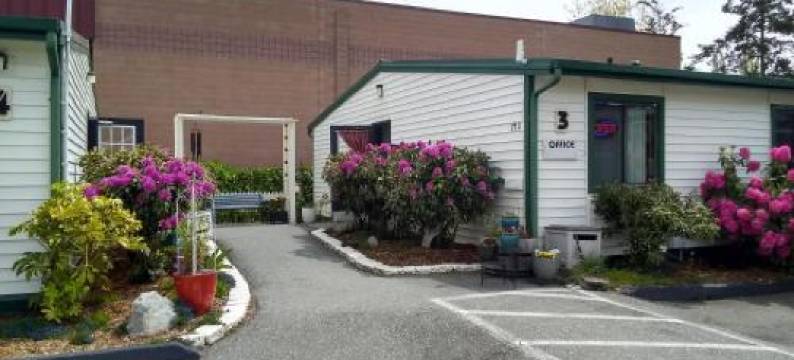 虎鲸旅馆(The Orca Inn)图片