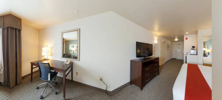 智选假日套房酒店何尔摩沙海滩(Holiday Inn Express & Suites Hermosa Beach)图片