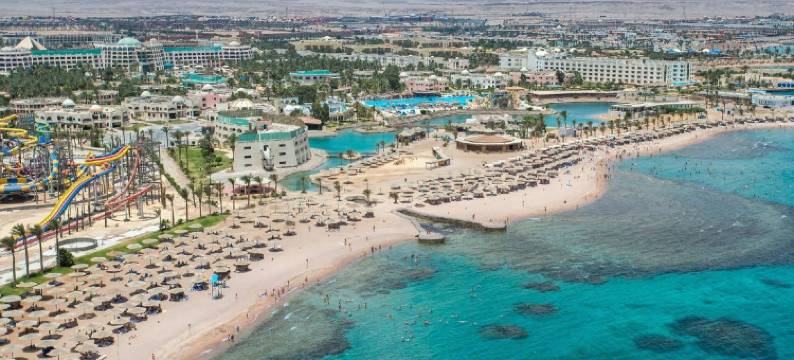 天堂金五(Paradise Golden Five)图片