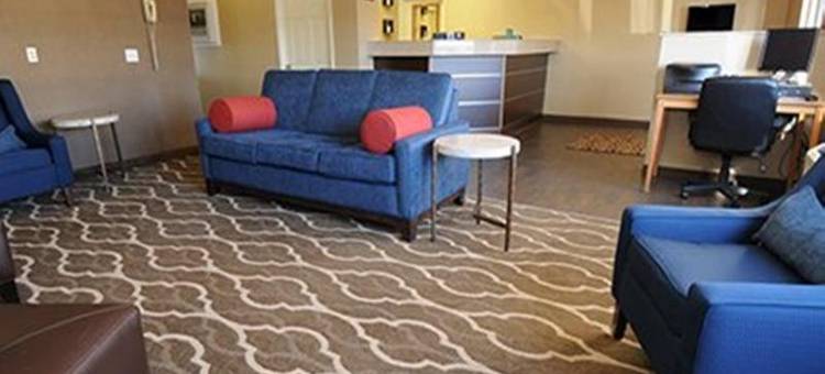 舒适酒店(Comfort Inn)图片