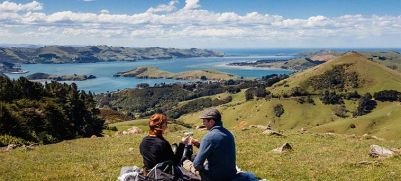 拉纳克城堡别墅(Camp Estate by Larnach Castle)图片