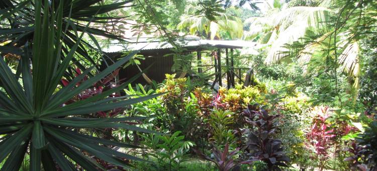 芙蓉谷酒店(Hibiscus Valley Inn)图片