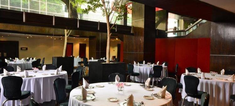 格拉瑞亚瑞福玛广场酒店(Galeria Plaza Reforma)图片