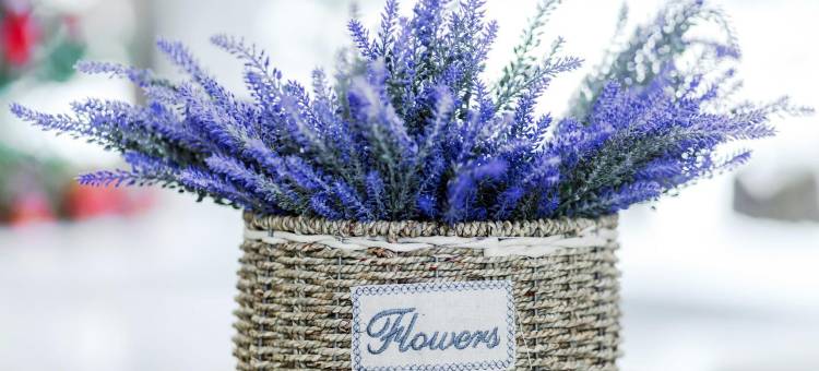 麗枫酒店(安乡店)图片