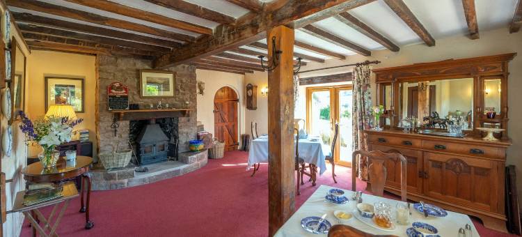 迪尼家庭旅馆(The Dinney B&B)图片