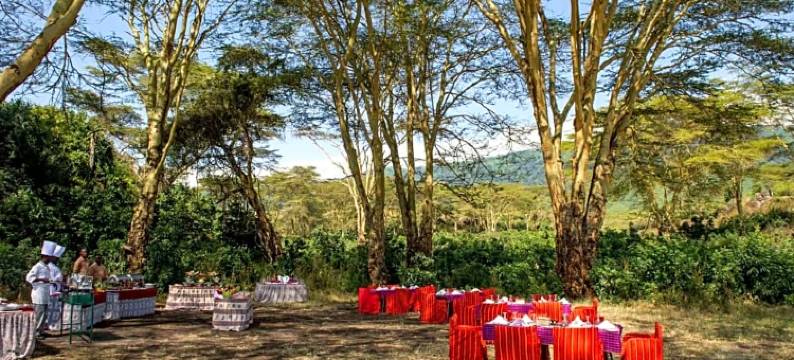 恩戈罗恩戈罗塞雷纳狩猎旅馆(Ngorongoro Serena Safari Lodge)图片