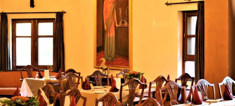 达拉格尔宫喜来得欢迎酒店(WelcomHeritage Taragarh Palace)图片