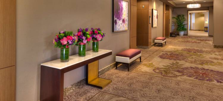 欧文斯北克特姆逸林酒店(DoubleTree by Hilton Irvine Spectrum)图片