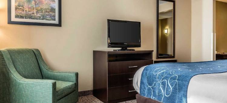 迈阿密斯堡-南代顿舒适全套房酒店(Comfort Suites Miamisburg - Dayton South)图片