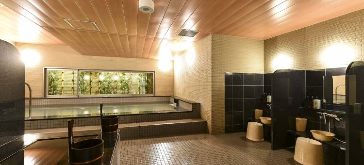 飞驒高山华盛顿广场酒店(Hida Takayama Washington Hotel Plaza)图片