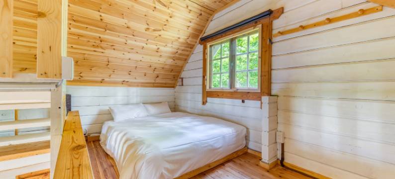 白马白鹭公寓(Beaver Lodge Hakuba)图片