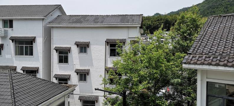 小姜先生特色民宿(淳杨线分店)图片