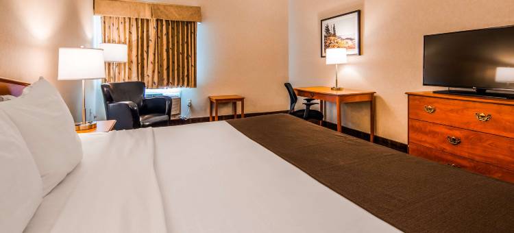 十字路贝斯特韦斯特酒店(Best Western Thunder Bay Crossroads)图片