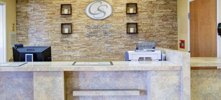 布伦纳姆舒适全套房酒店(Comfort Suites)图片