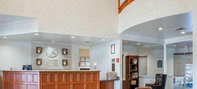 西沃里克 - 普罗维登斯舒适套房酒店(Comfort Suites West Warwick - Providence)图片