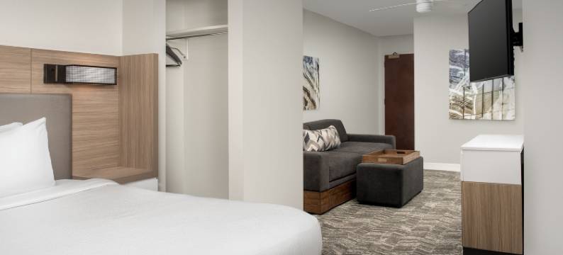 亚特兰大比福德 - 格鲁吉亚州购物中心 SpringHill Suites 酒店(SpringHill Suites Atlanta Buford/Mall of Georgia)图片