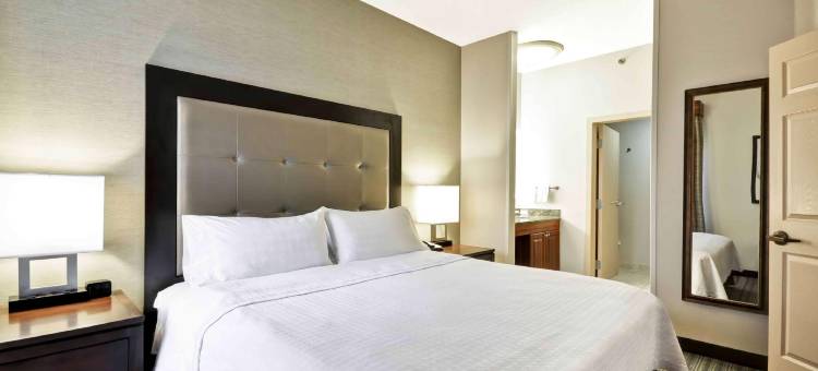 亚特兰大莱诺克斯巴克海德Homewood Suites by Hilton(Homewood Suites by Hilton Atlanta Lenox Buckhead)图片