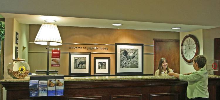 鸽子谷公园大道旅馆(Inn on the Parkway Pigeon Forge)图片