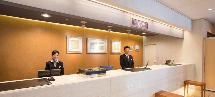 Alpico广场酒店(Alpico Plaza Hotel)图片