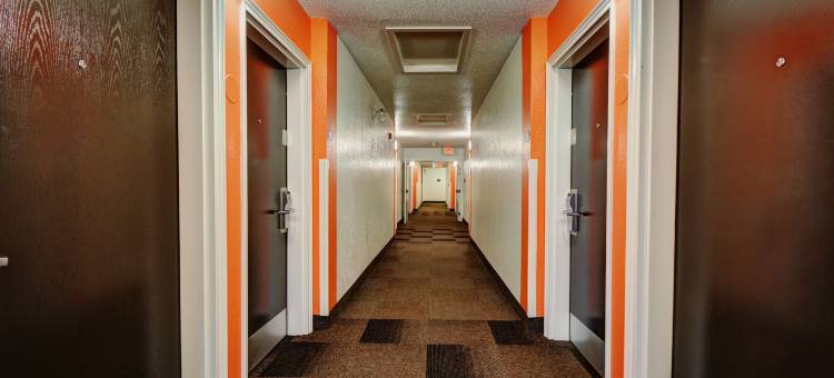 纽波特罗德岛6号汽车旅馆(Motel 6 Newport, RI)图片