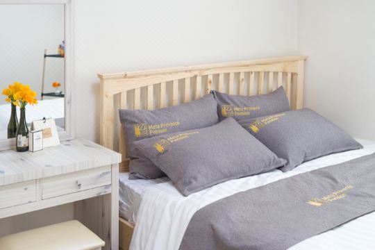 Meteora Pension Hotel Overview