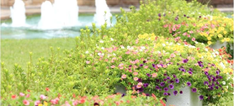 富士龟乃井酒店(Kamenoi Hotel Fuji)图片