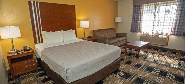 凯艺酒店 - 近医疗中心(Quality Inn Near Medical Center)图片