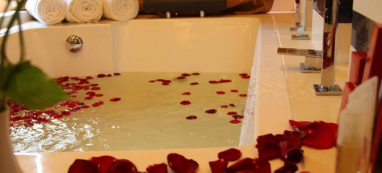 阿巴迪套房酒店和占碑大厦-特里塔马酒店(Abadi Suite Hotel & Tower)图片