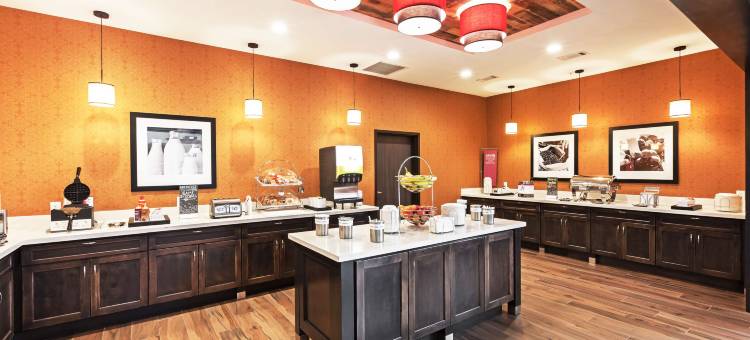 得克萨斯州休斯顿/阿塔斯卡西亚欢朋套房酒店(Hampton Inn & Suites Houston/Atascocita)图片
