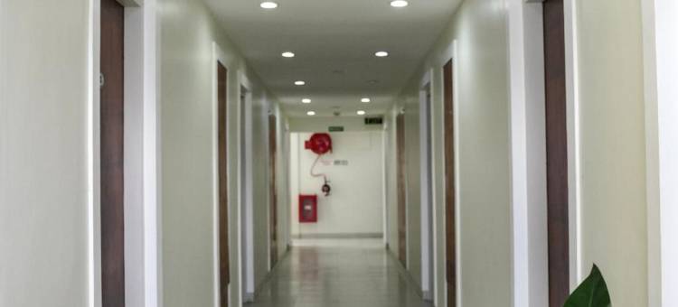 棕榈岸酒店(Hotel Palm Shore)图片