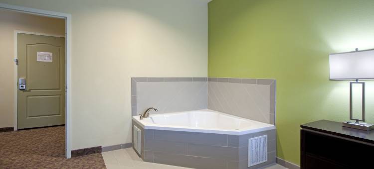 智选假日套房酒店克莱门森- 大学区(Holiday Inn Express & Suites Clemson - Univ Area)图片