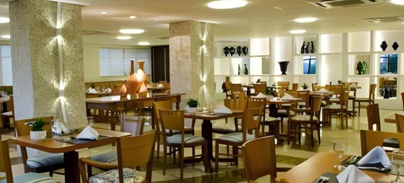 阿拉卡茄兹力酒店(Celi Hotel Aracaju)图片