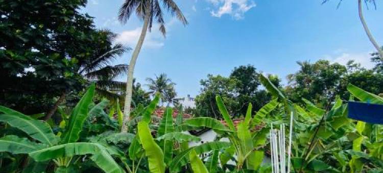 Villa Mallika Ahangama图片