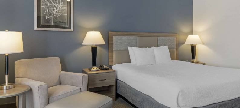 胡椒树南帕市政中心贝斯特韦斯特优质酒店(Best Western Plus Peppertree Nampa Civic Center Inn)图片