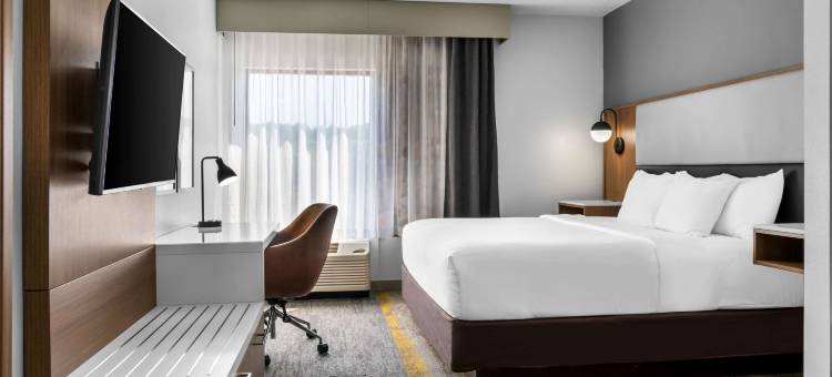 约克舒适酒店套房(Comfort Inn & Suites)图片