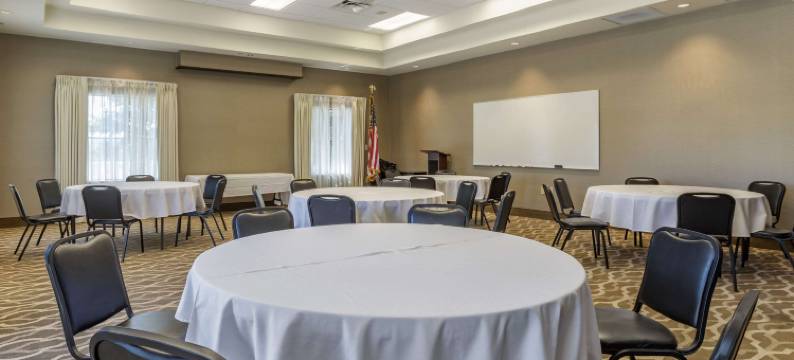 雅典舒适酒店(Comfort Inn Athens I - 75)图片