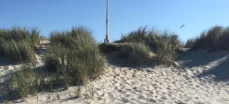 森林小屋酒店(De Folks)图片